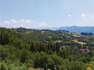 Casa per le vacanze Reggello Ambiente 42