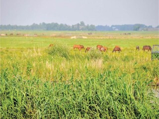 Vakantiehuis Sneek Omgeving 17