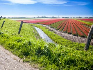 Vakantiepark Julianadorp Omgeving 25