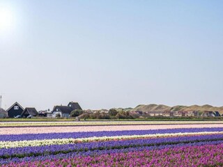 Vakantiepark Julianadorp Omgeving 21