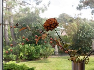 Vakantiepark Julianadorp Omgeving 33