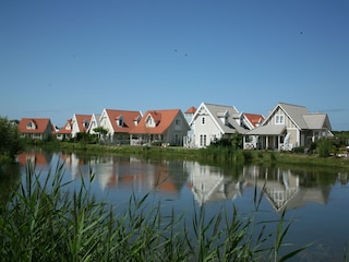 Ferienpark 's-Gravenzande Umgebung 24