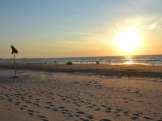 Vakantiepark 's-Gravenzande Omgeving 31