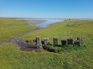 Vakantiepark Herkingen Omgeving 20