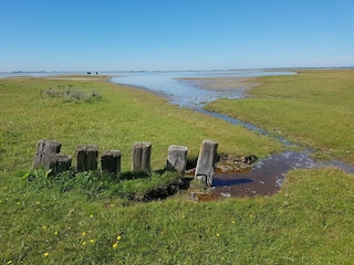 Vakantiepark Herkingen Omgeving 21