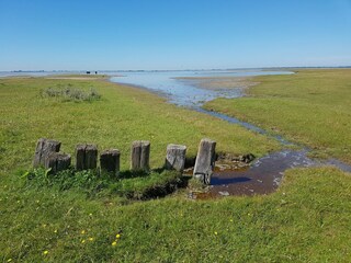 Vakantiepark Herkingen Omgeving 28