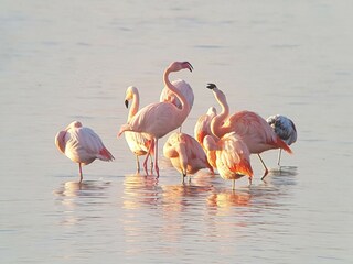 Parco vacanze Herkingen Ambiente 17