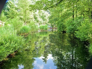 Holiday park Kootwijk Environment 13