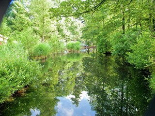 Holiday park Kootwijk Environment 11