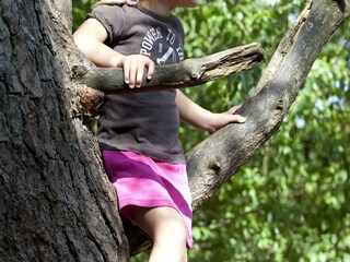 Parco vacanze Kootwijk Ambiente 6