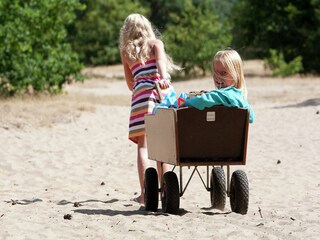 Parco vacanze Kootwijk Ambiente 22