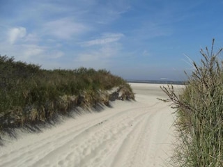 Holiday park Bruinisse Environment 17