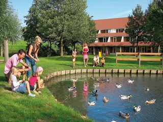 Parc de vacances Bruinisse Environnement 11