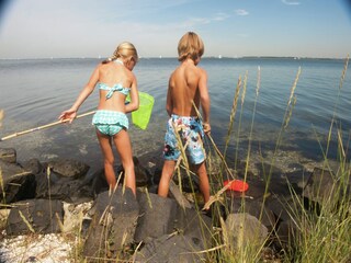 Vakantiepark Bruinisse Omgeving 10