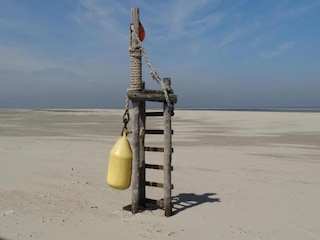 Holiday park Bruinisse Environment 19