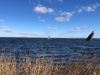 Parque de vacaciones Bruinisse Entorno 17