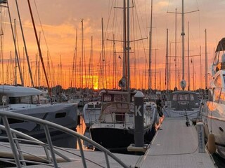 Vakantiepark Bruinisse Omgeving 19