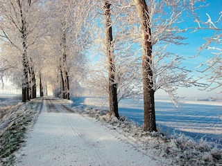 Parc de vacances Bruinisse Environnement 26