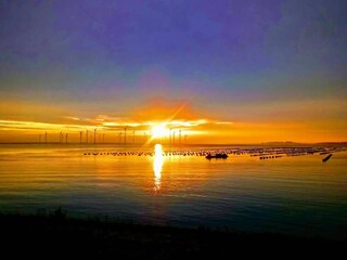 Parque de vacaciones Bruinisse Entorno 17