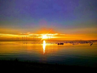 Vakantiepark Bruinisse Omgeving 12