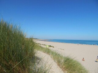 Vakantiepark Bruinisse Omgeving 15