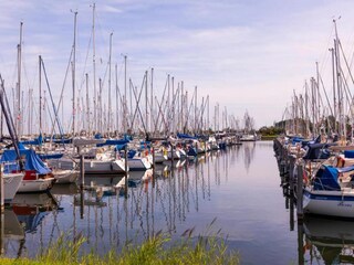 Vakantiepark Bruinisse Omgeving 19