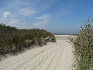 Vakantiepark Bruinisse Omgeving 14