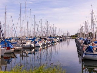 Ferienpark Bruinisse Umgebung 14