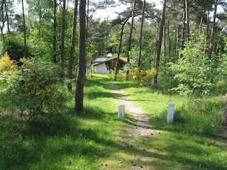 Vakantiepark Herpen Buitenaudio-opname 3