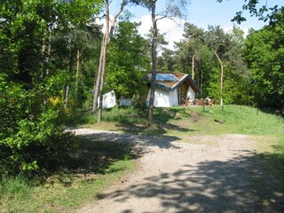 Parco vacanze Herpen Registrazione all'aperto 3