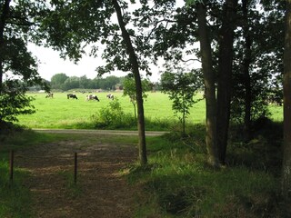 Parc de vacances Herpen Environnement 13