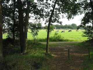 Holiday park Herpen  34
