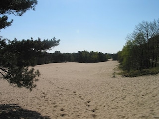 Ferienpark Herpen  37