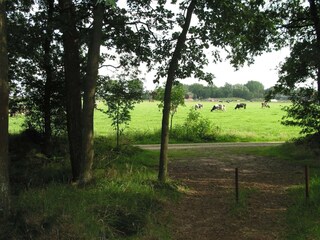 Parco vacanze Herpen  34