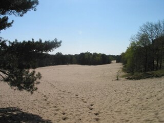 Parc de vacances Herpen Environnement 18