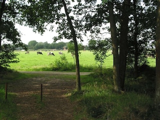 Holiday park Herpen Environment 18