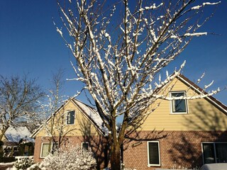 Parco vacanze Plasmolen Registrazione all'aperto 6