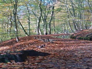 Parc de vacances Plasmolen Environnement 19