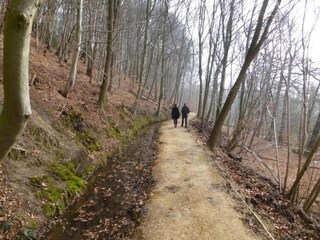 Vakantiepark Plasmolen Omgeving 23