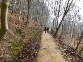 Parc de vacances Plasmolen Environnement 29
