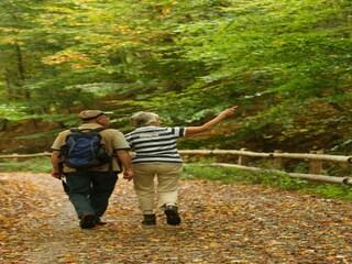 Vakantiepark Plasmolen Omgeving 18