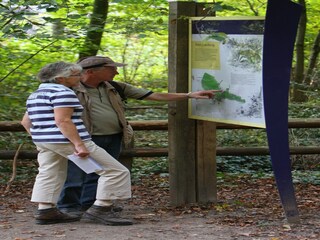 Ferienpark Plasmolen Umgebung 13