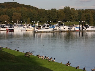 Ferienpark Plasmolen Umgebung 31