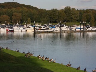 Parco vacanze Plasmolen Ambiente 26