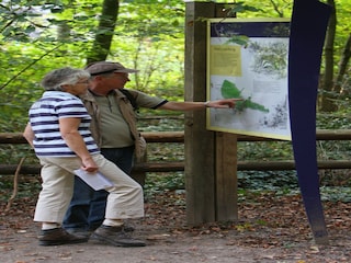 Ferienpark Plasmolen Umgebung 16