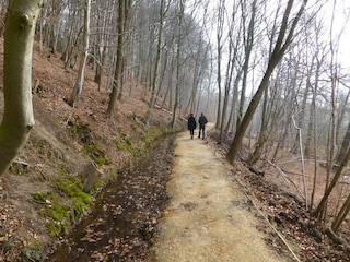 Ferienpark Plasmolen Umgebung 16
