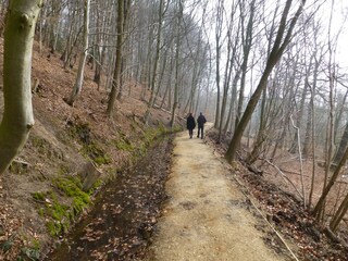 Parc de vacances Plasmolen Environnement 16