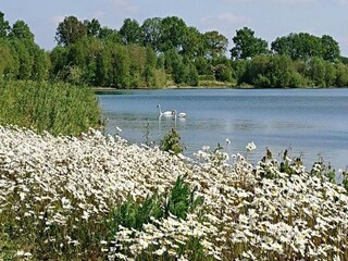 Parc de vacances Plasmolen Environnement 22