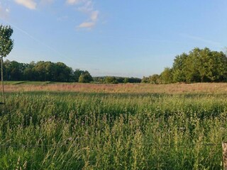 Vakantiepark Plasmolen Omgeving 21