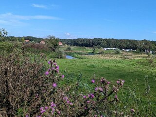 Parc de vacances Plasmolen Environnement 24